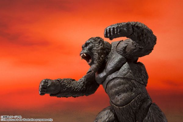 BANDAI SH MonsterArts 金剛 KONG 2021 可動公仔  BANDAI,SH,MonsterArts,金剛,KONG,2021,可動,公仔, 