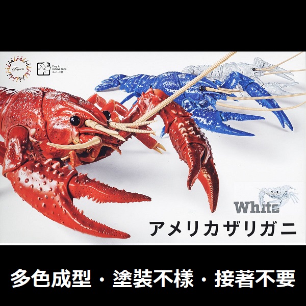 美國螯蝦 白色 FUJIMI 自由研究24EX2 生物編 富士美 組裝模型 FUJIMI,自由研究,生物,美國螯蝦,藍色,白,