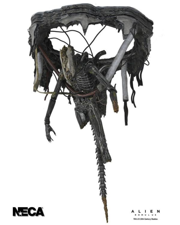 [豪華版] NECA 7吋 異形：羅穆路斯 Xenomorph XX121 實驗室懸吊 可動完成品 [豪華版] NECA 7吋 異形：羅穆路斯 Xenomorph XX121 實驗室懸吊 可動完成品