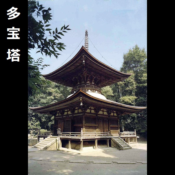 1/100 多寶塔 FUJIMI 建10 富士美 組裝模型 FUJIMI,日本建物,日本城堡,建,藥師寺,東塔,多寶塔,
