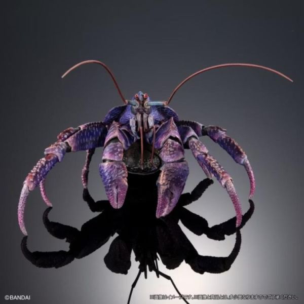 (預購) BANDAI 生物大圖鑑PREMIUM 椰子蟹 紫色 20260614 BANDAI 生物大圖鑑PREMIUM 椰子蟹 紫色