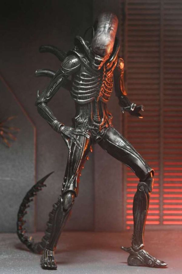 NECA 異形:羅穆路斯 終極 異形 Xenomorph XX121 7吋 可動完成品 NECA 異形:羅穆路斯 終極 異形 Xenomorph XX121 7吋 可動完成品