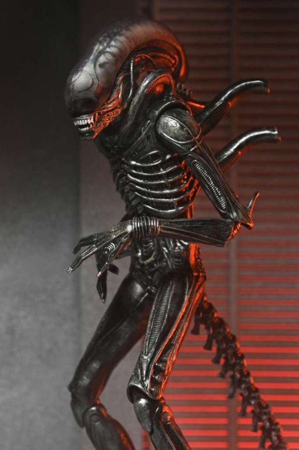 NECA 異形:羅穆路斯 終極 異形 Xenomorph XX121 7吋 可動完成品 NECA 異形:羅穆路斯 終極 異形 Xenomorph XX121 7吋 可動完成品