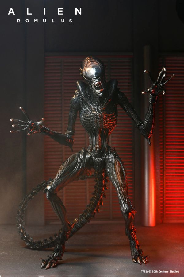 NECA 7吋 異形 羅穆路斯 灼傷異形 可動完成品 NECA 7吋 異形 羅穆路斯 灼傷異形 可動完成品