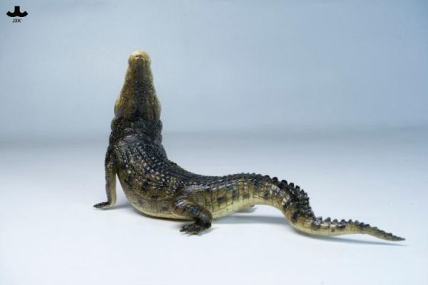 (預購) JXK Studio JXK339 動物公仔 荒灘巨鱷 20260421 JXK Studio JXK339 動物公仔 荒灘巨鱷
