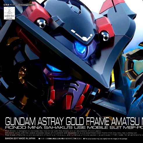 BANDAI 1/144 RG 024 異端鋼彈金色機 天蜜納 機動戰士 鋼彈SEED MSV 組裝模型 BANDAI,1/144,RG,024,異端,鋼彈,金色機,天蜜納,機動戰士,鋼彈,SEED,MSV,組裝模型