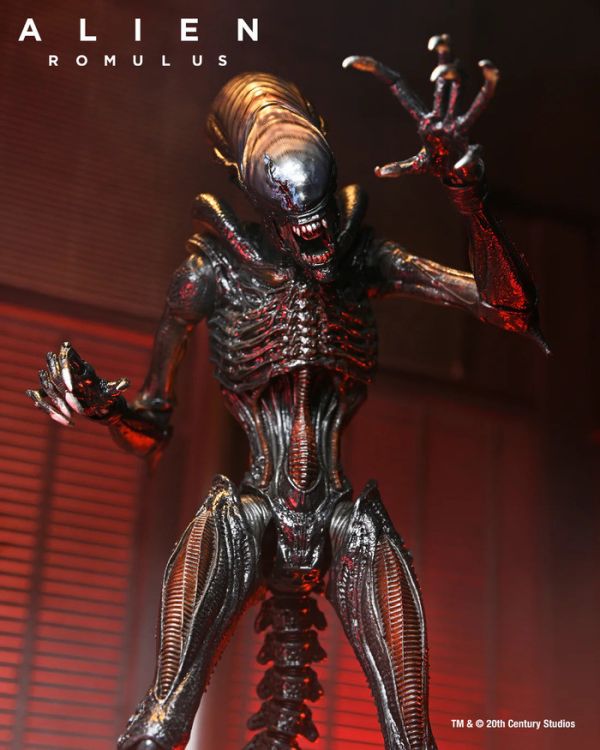 NECA 7吋 異形 羅穆路斯 灼傷異形 可動完成品 NECA 7吋 異形 羅穆路斯 灼傷異形 可動完成品