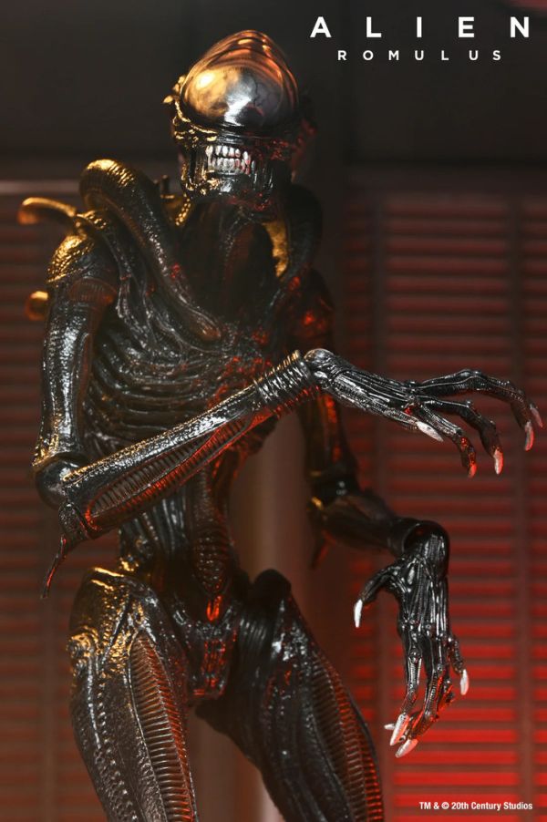 NECA 7吋 異形 羅穆路斯 灼傷異形 可動完成品 NECA 7吋 異形 羅穆路斯 灼傷異形 可動完成品