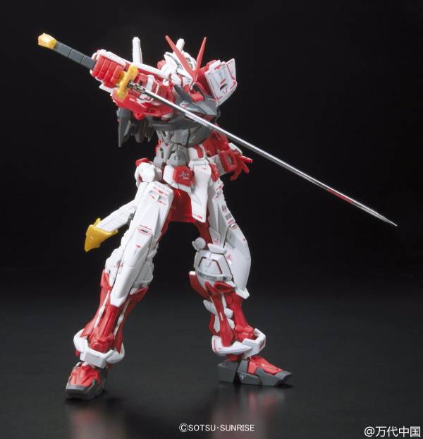 BANDAI 1/144 RG 019 異端鋼彈紅色機 機動戰士 鋼彈SEED MSV 組裝模型 BANDAI,1/144,RG,019,異端,鋼彈,紅色機,機動戰士,鋼彈,SEED,MSV,組裝模型,