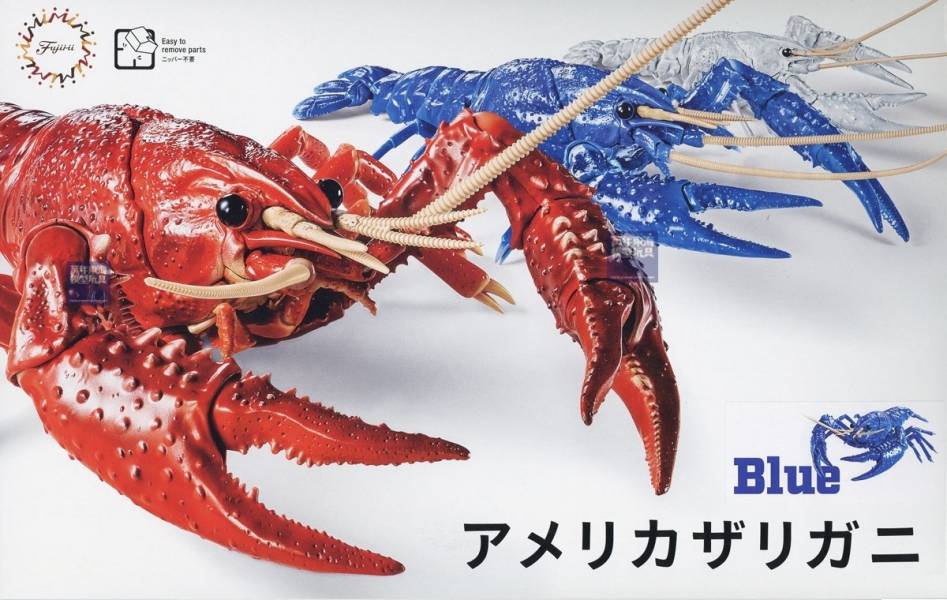 美國螯蝦 藍色 FUJIMI 自由研究24EX1 生物編 富士美 組裝模型 FUJIMI,自由研究,生物,美國螯蝦,藍色,