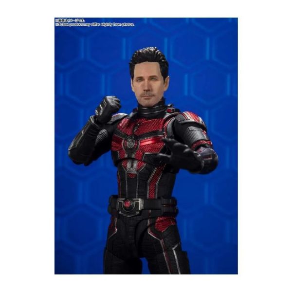 BANDAI S.H.Figuarts SHF 蟻人蟻人與黃蜂女 量子狂熱 BANDAI S.H.Figuarts SHF 蟻人蟻人與黃蜂女 量子狂熱