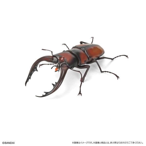 (預購) BANDAI 扭蛋 生物大圖鑑 鍬形蟲12 附樹皮台座(小) 全6種 一套6入販售 20260302 BANDAI 扭蛋 生物大圖鑑 鍬形蟲12 附樹皮台座(小) 全6種 一套6入販售