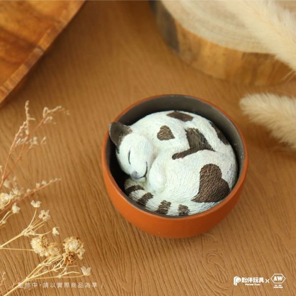 夥伴玩具 扭蛋 杯中生物-貓咪篇 全6種 隨機5入販售 夥伴玩具 扭蛋 杯中生物-貓咪篇 全6種 隨機5入販售