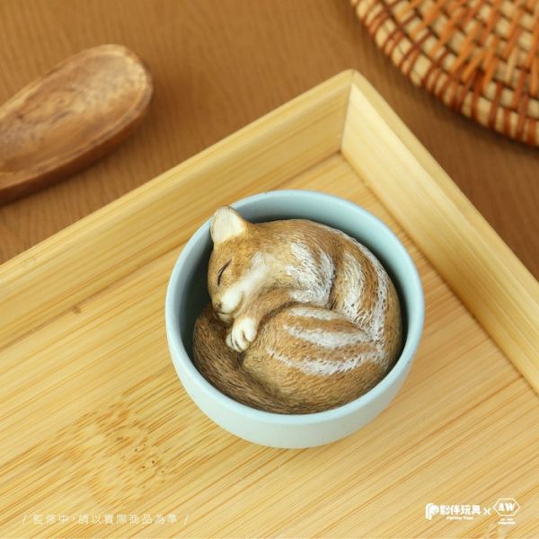 夥伴玩具 扭蛋 杯中生物-貓咪篇 全6種 隨機5入販售 夥伴玩具 扭蛋 杯中生物-貓咪篇 全6種 隨機5入販售