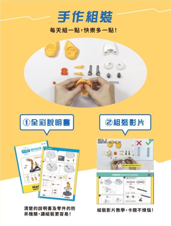 (預購) PROKITS 寶工 花園鰻-曼尼 Manny GE-731 20260107 PROKITS 寶工 花園鰻-曼尼 Manny GE-731