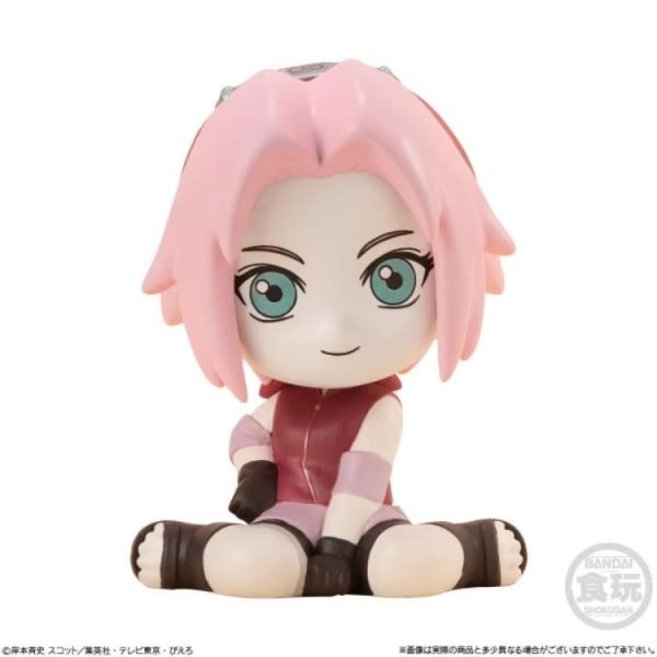 (預購) BANDAI 盲盒 火影忍者 公仔 全8種 一中盒10入販售 20260802 BANDAI 盲盒 火影忍者 公仔 全8種 一中盒10入販售