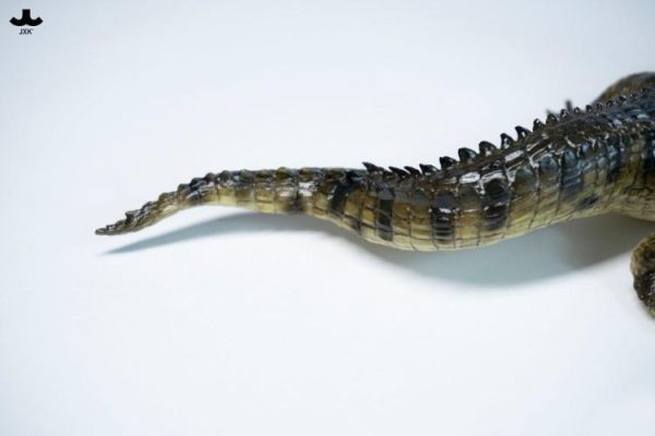 (預購) JXK Studio JXK339 動物公仔 荒灘巨鱷 20260421 JXK Studio JXK339 動物公仔 荒灘巨鱷