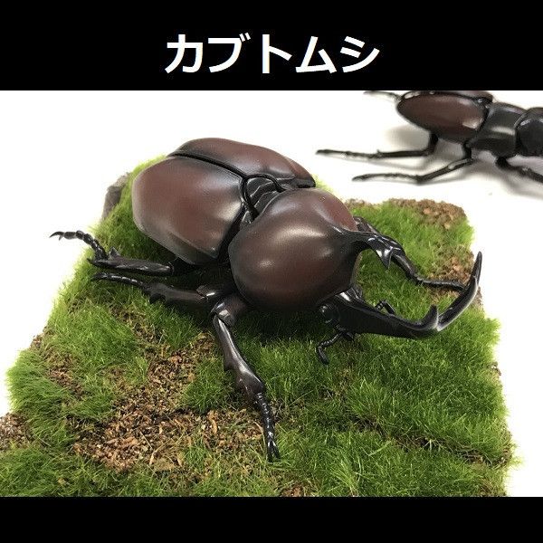 (預購) FUJIMI 富士美 自由研究 021 生物編 獨角仙 組裝模型 20250925 (預購) FUJIMI 富士美 自由研究 021 生物編 獨角仙 組裝模型 20250925