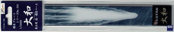 1/3000 船艦 波浪 艦名 展示台 FUJIMI 日本海軍  艦名銘牌 富士美 展示銘牌 組裝模型 FUJIMI,1/3000,航空母艦,戰艦,驅逐艦,波浪,艦名,銘牌,