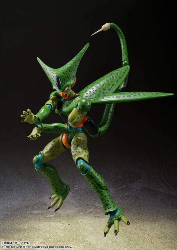 [再販] BANDAI S.H.Figuarts SHF 七龍珠Z 賽魯 第一形態 可動完成品 [再販] BANDAI S.H.Figuarts SHF 七龍珠Z 賽魯 第一形態 可動完成品