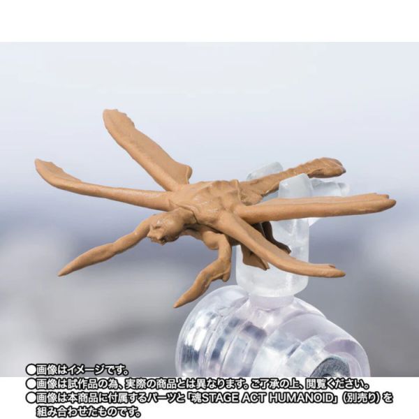 (預購) BANDAI S.H.MonsterArts 哥吉拉x美加基拉斯 G消滅作戰 美加基拉斯 進化套組 (預購) BANDAI S.H.MonsterArts 哥吉拉x美加基拉斯 G消滅作戰 美加基拉斯 進化套組