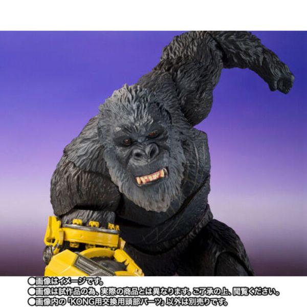 BANDAI S.H.MonsterArts SHM 哥吉拉與金剛 新帝國 霜魔 可動完成品 BANDAI S.H.MonsterArts SHM 哥吉拉與金剛 新帝國 霜魔 可動完成品