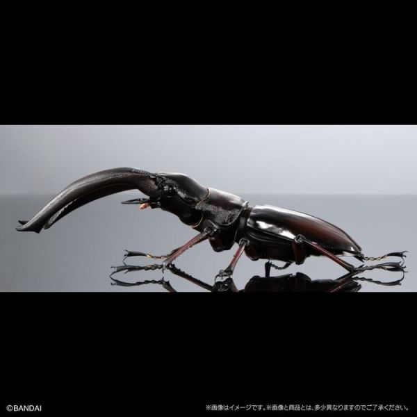 (預購) BANDAI 盒玩 生物大圖鑑PREMIUM 巨顎叉角鍬形蟲 紅 全1種 20260105 BANDAI 盒玩 生物大圖鑑PREMIUM 巨顎叉角鍬形蟲 紅 全1種