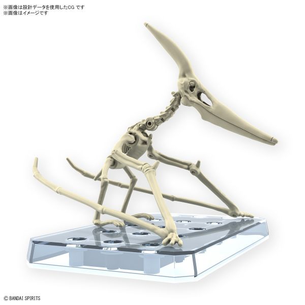 BANDAI 新恐龍組裝模型 07 無齒翼龍 組裝模型 BANDAI 新恐龍組裝模型 07 無齒翼龍 組裝模型