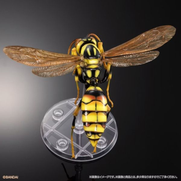 (預購) BANDAI 扭蛋 生物大圖鑑 馬蜂亞科 展示架套裝 全3款 隨機3入販售 20251029 (預購) BANDAI 扭蛋 生物大圖鑑 馬蜂亞科 展示架套裝 全3款 隨機3入販售 20251029