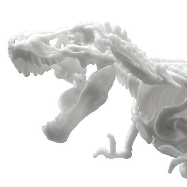 BANDAI LIMEX骨骼 恐龍組裝模型 暴龍 組裝模型 BANDAI,LIMEX骨骼,恐龍組裝模型,暴龍,組裝模型,