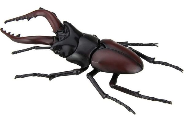 (預購) FUJIMI 富士美 自由研究22 生物編 鍬形蟲 組裝模型 20250925 (預購) FUJIMI 富士美 自由研究22 生物編 鍬形蟲 組裝模型 20250925