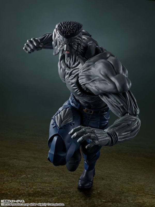 BANDAI S.H.Figuarts SHF 幽遊白書 戶愚呂弟100％ 可動完成品 BANDAI S.H.Figuarts SHF 幽遊白書 戶愚呂弟100％ 可動完成品