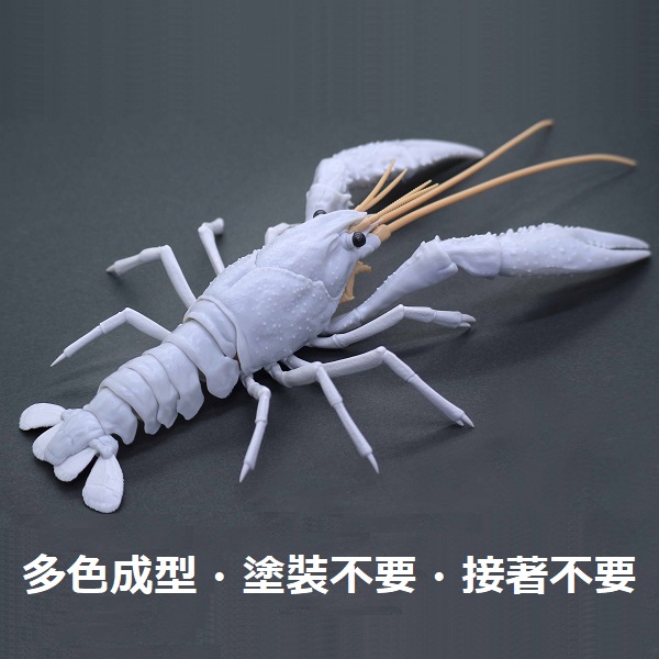 美國螯蝦 白色 FUJIMI 自由研究24EX2 生物編 富士美 組裝模型 FUJIMI,自由研究,生物,美國螯蝦,藍色,白,