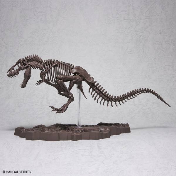 BANDAI 1/32 幻想骨骼系列 暴龍 組裝模型 BANDAI,1/32,幻想骨骼系列,暴龍,組裝模型,