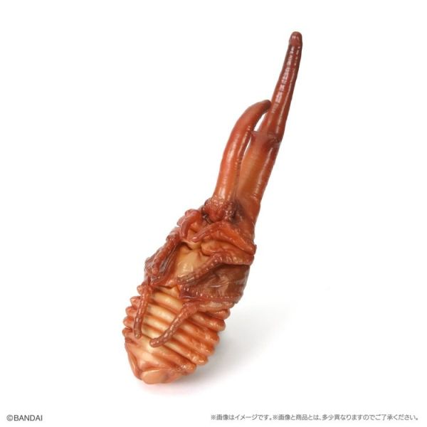 (預購) BANDAI 扭蛋 生物大圖鑑 獨角仙10 附樹皮底座(小) 全5種 一套5入販售 20251214 BANDAI 扭蛋 生物大圖鑑 獨角仙10 附樹皮底座(小) 全5種 一套5入販售