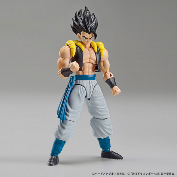 BANDAI Figure-rise Standard FRS 七龍珠 悟吉塔 超級賽亞人藍 悟達爾 組裝模型 BANDAI,Figure-rise,Standard,FRS,七龍珠,悟吉塔,超級賽亞人藍,悟達爾,組裝模型,