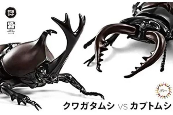 (預購) [再販] Fujimi 富士美 自由研究25 生物編 獨角仙 vs 鍬形蟲 對決套組 組裝模型 20260203 [再販] Fujimi 富士美 自由研究25 生物編 獨角仙 vs 鍬形蟲 對決套組 組裝模型