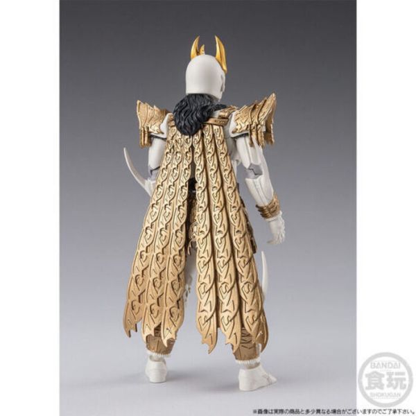 BANDAI 盒玩 掌動 SHODO-XX 假面騎士空我 究極形態&未確認生命體第0號 套組 BANDAI 盒玩 掌動 SHODO-XX 假面騎士空我 究極形態&未確認生命體第0號 套組