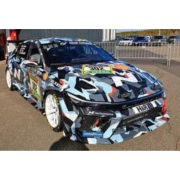 (預購) SPARK 1/43 現代 Hyundai Motor Company ELANTRA N1 RP No.302 現代 Hyundai Motorsport N SG1089 20260730 SPARK 1/43 現代 Hyundai Motor Company ELANTRA N1 RP No.302 現代 Hyundai Motorsport N SG1089