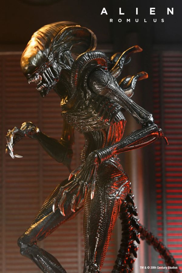 NECA 7吋 異形 羅穆路斯 灼傷異形 可動完成品 NECA 7吋 異形 羅穆路斯 灼傷異形 可動完成品