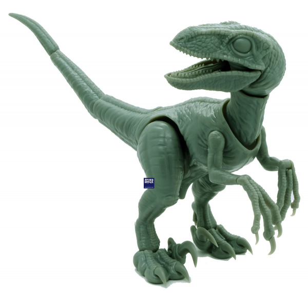 Velociraptor 迅猛龍 FUJIMI 自由研究3 恐龍編 富士美 組裝模型 FUJIMI,自由研究,恐龍,Tyrannosaurus,暴龍,