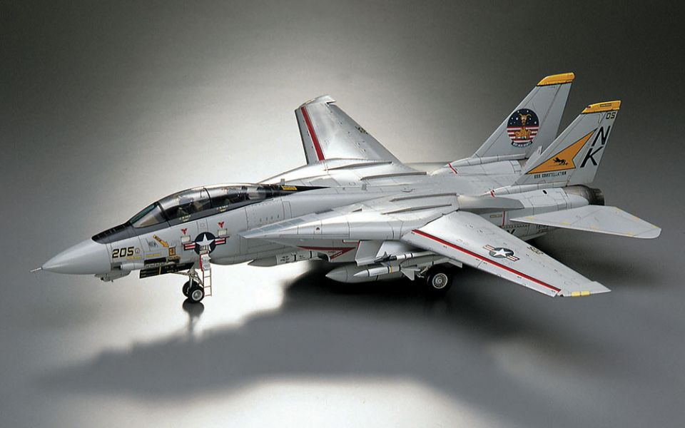 HASEGAWA 長谷川 1/48 F-14A TOMCAT 雄貓式戰鬥機 組裝模型 HASEGAWA 長谷川 1/48 F-14A TOMCAT 雄貓式戰鬥機 組裝模型