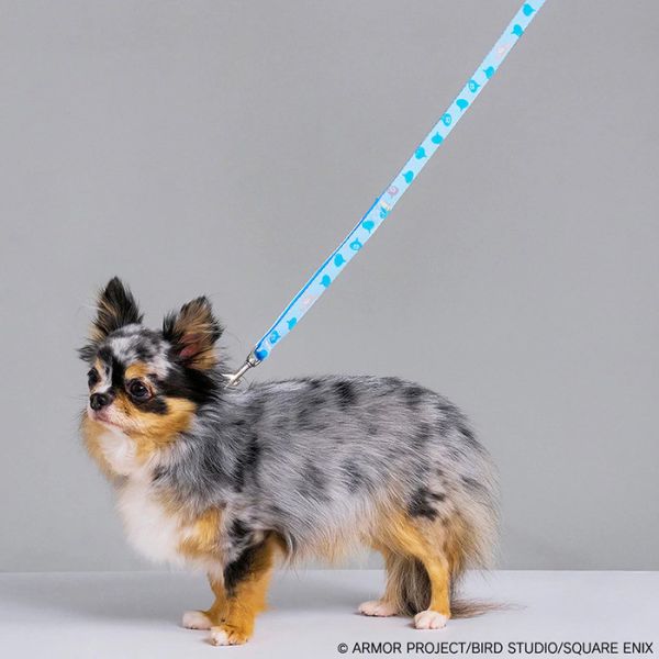 SQEX PETs 勇者鬥惡龍 PETs 史萊姆 寵物牽引繩 SQEX PETs 勇者鬥惡龍 PETs 史萊姆 寵物牽引繩