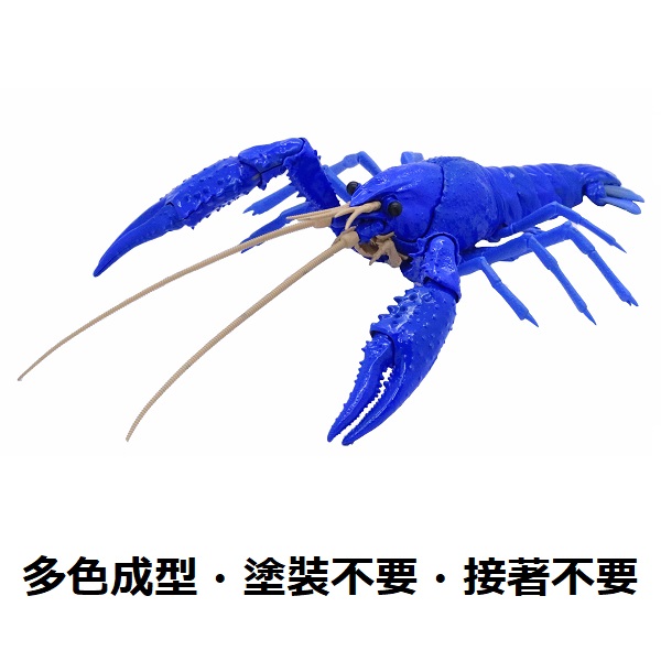 美國螯蝦 藍色 FUJIMI 自由研究24EX1 生物編 富士美 組裝模型 FUJIMI,自由研究,生物,美國螯蝦,藍色,