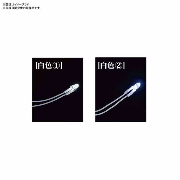BANDAI LED組件 白色 12盞式 BANDAI,LED組件,白色,12盞式