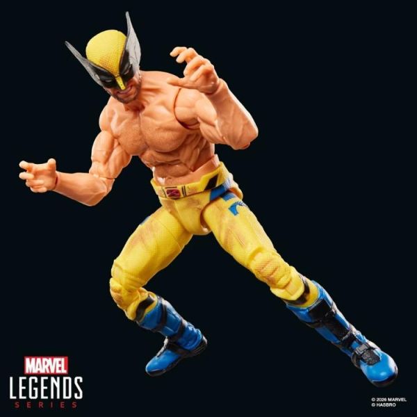 (預購) Hasbro 孩之寶 漫威傳奇 死侍與金剛狼電影 金剛狼 20260614 Hasbro 孩之寶 漫威傳奇 死侍與金剛狼電影 金剛狼
