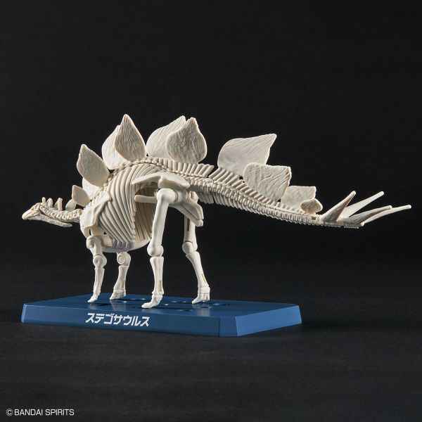 BANDAI 新恐龍組裝模型 03 劍龍 組裝模型 BANDAI,新,恐龍,組裝模型,03,劍龍,組裝模型,