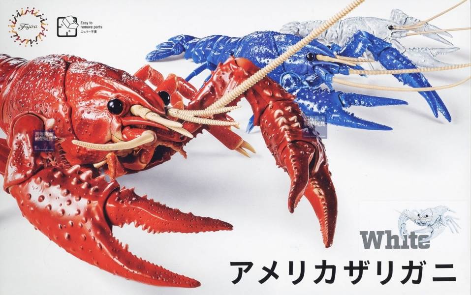 美國螯蝦 白色 FUJIMI 自由研究24EX2 生物編 富士美 組裝模型 FUJIMI,自由研究,生物,美國螯蝦,藍色,白,