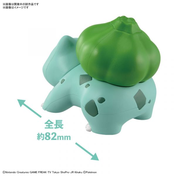 BANDAI 精靈寶可夢 神奇寶貝 Pokemon PLAMO 快組系列 013 妙蛙種子 組裝模型 BANDAI 精靈寶可夢 神奇寶貝 Pokemon PLAMO 收藏集 Quick 13 快組版 妙蛙種子 免工具組裝模型