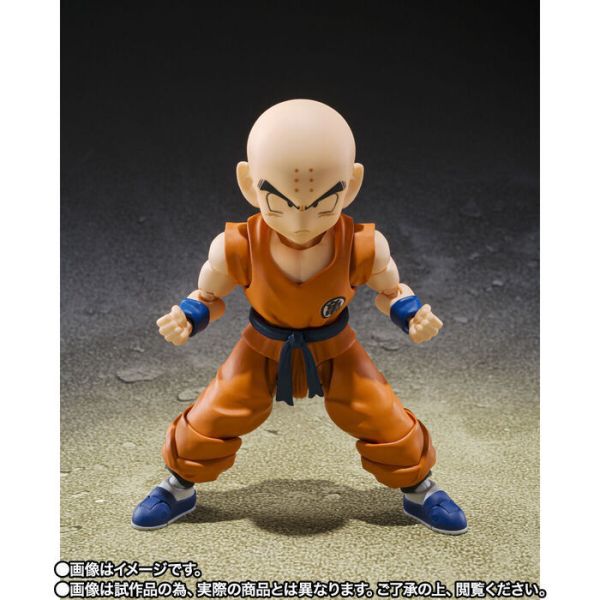 BANDAI S.H.Figuarts SHF 七龍珠 克林 孫悟空最好的朋友 可動完成品 BANDAI S.H.Figuarts SHF 七龍珠 克林 孫悟空最好的朋友 可動完成品